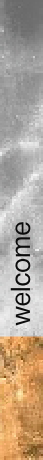 wp1a06632a.png